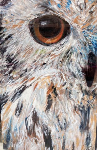 La mirada del bosque