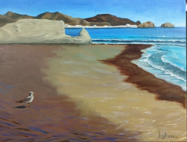 Jonthan Livingston en Almeria